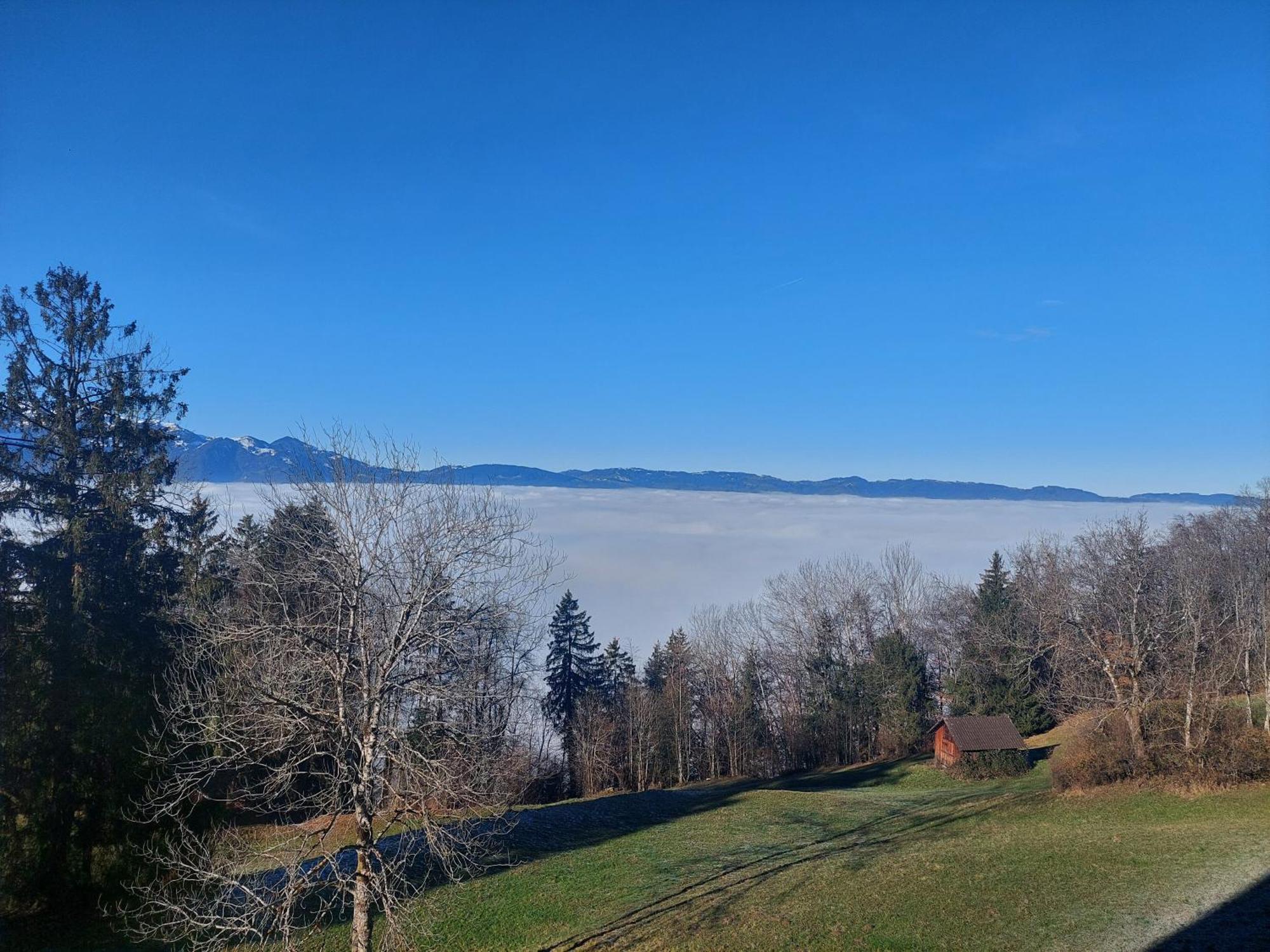 Gemuetliche Wohnung Mit Talblick Batschuns Luaran gambar
