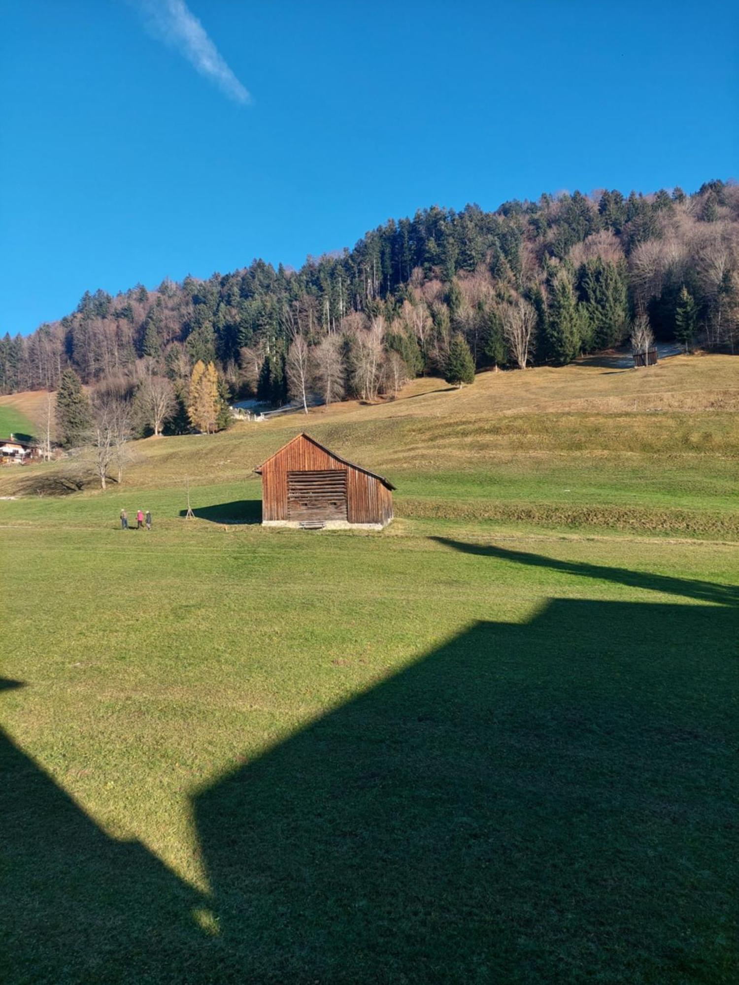 Gemuetliche Wohnung Mit Talblick Batschuns Luaran gambar