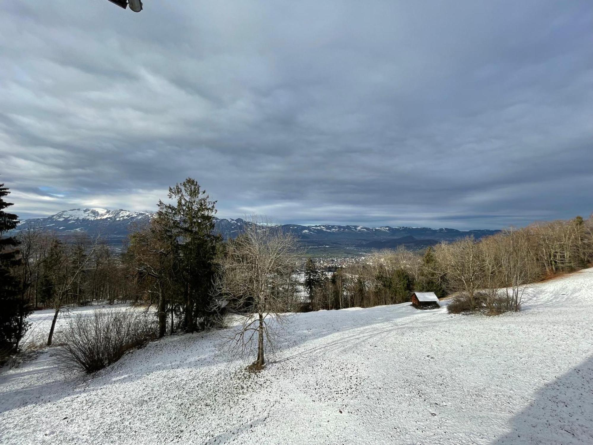 Gemuetliche Wohnung Mit Talblick Batschuns Luaran gambar