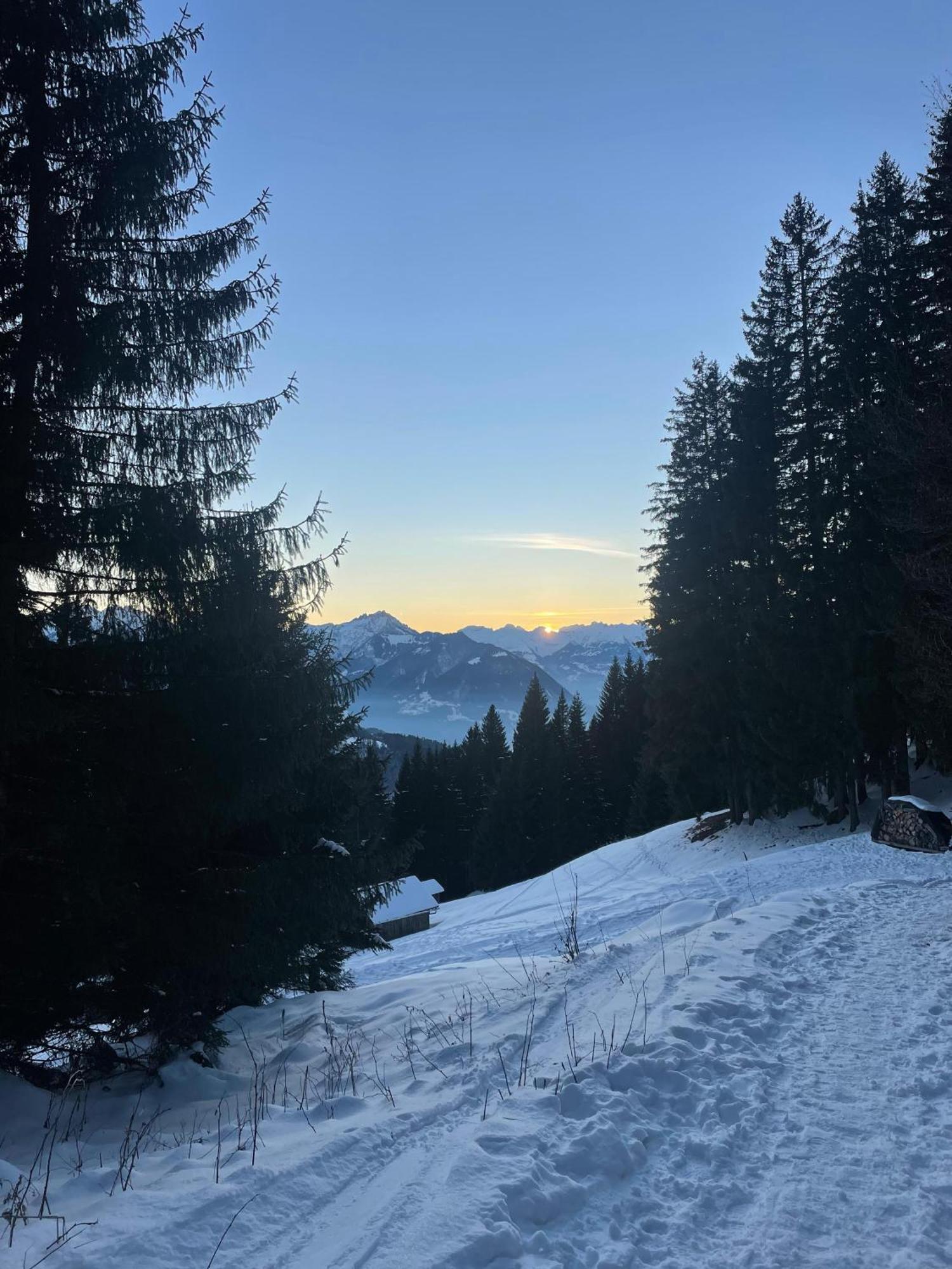 Gemuetliche Wohnung Mit Talblick Batschuns Luaran gambar