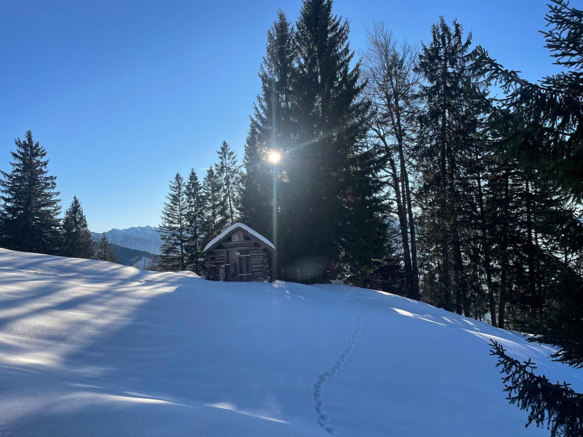 Gemuetliche Wohnung Mit Talblick Batschuns Luaran gambar